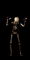 abaixaskull.gif (22998 bytes)